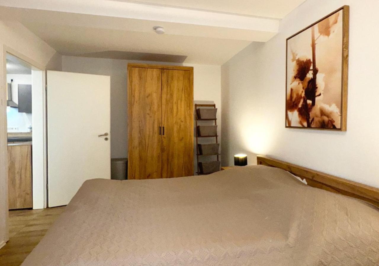 Greenhouse Living Apartment Nivis Mit Garten - 4 Minuten Nach Winterberg - Wandern, Mountainbike Fahren - Natur Geniessen ميدهباخ المظهر الخارجي الصورة